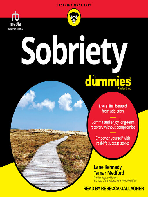 Title details for Sobriety For Dummies by Lane Kennedy - Available